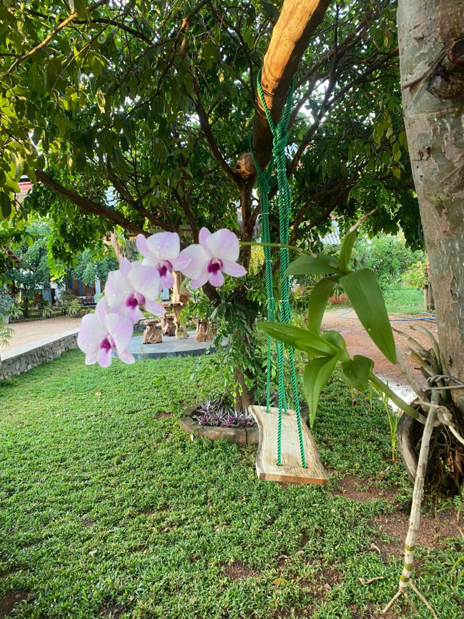 Hotel Hanguk Villa Dambulla Ngoại thất bức ảnh